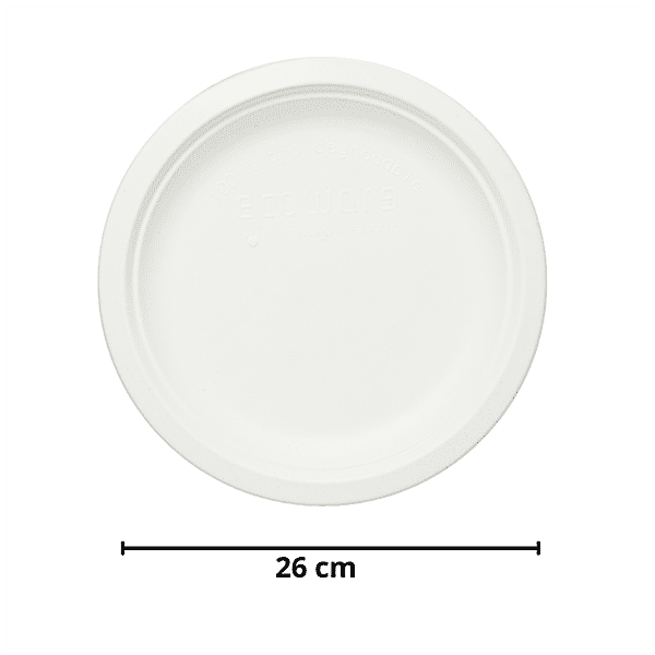 Pack of 120 Compostable Paper Plates 25.4 cm, Disposable Plates Durable  Natural Bagasse Plates, Party Plates