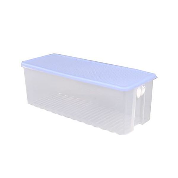 https://www.bigbasket.com/media/uploads/p/xl/40107388-2_2-tupperware-container-fridge-smart-blue.jpg