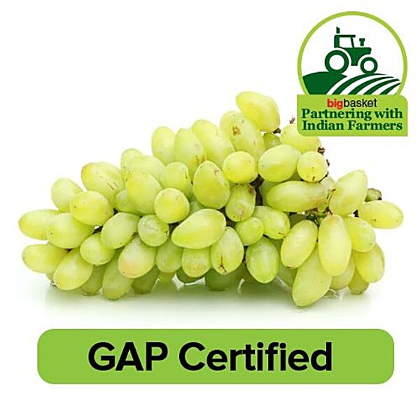 Are green seedless outlet grapes bad for dogs