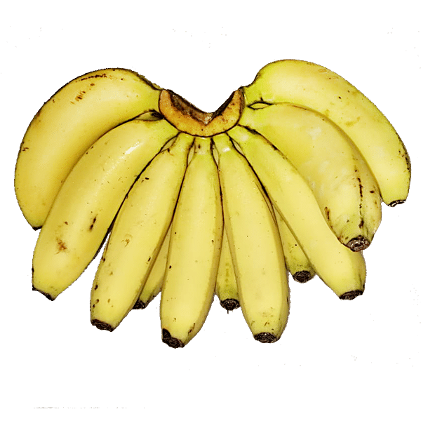 Buy Fresho Regular Banana - Robusta Online at Best Price of Rs 32 ...