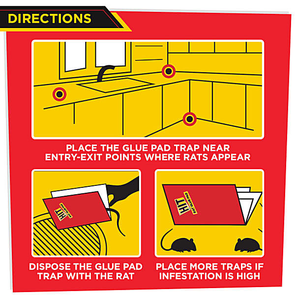 https://www.bigbasket.com/media/uploads/p/xl/40191236-6_1-hit-ratmouse-glue-pad-no-smell-non-poisonous-jumbo-size.jpg