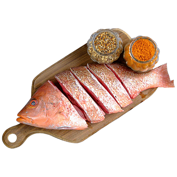 Fresho Red Snapper Fish - Curry Cut/Bengali Cut, Preservative Free, 1 kg