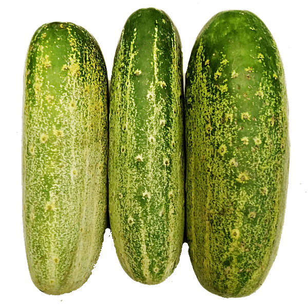 Bigbasket - Give your health the benefits of fresh cucumbers! Shop fresh  and organic cucumbers from bigbasket and give your health a boost!  #bigbasket #Cucumber #HealthyLife #HealthyFood #Organic #FreshFood  #HealthyLiving #Health