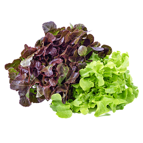 Buy fresho! Mix Lettuce Box with Cherry Tomatoes - Hydroponically Grown ...