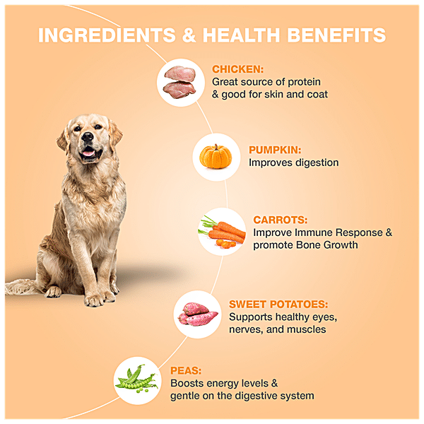 Healthy dog hotsell food ingredients