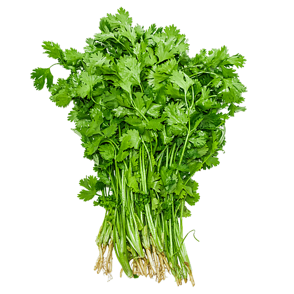 Buy fresho! Coriander Leaves With Roots Enhances Flavour Of The