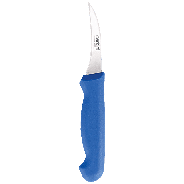 Buy Cartini by Godrej 6266 Classic Paring Knife - Stainless Steel Thick ...