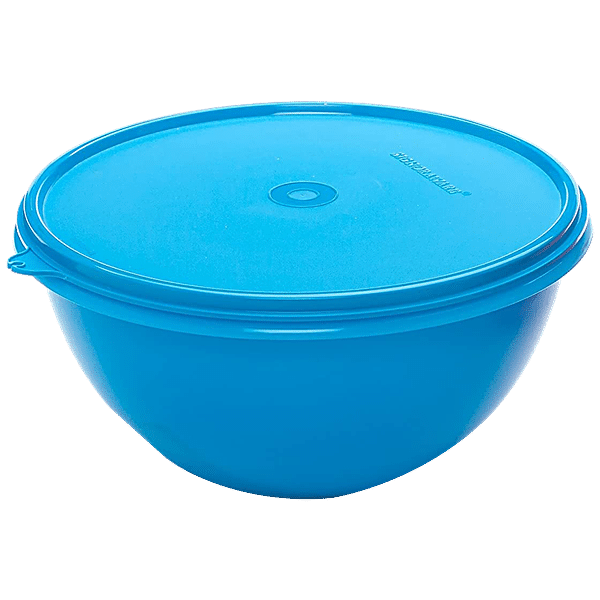 Buy Signoraware Tiny Wonder Container - Blue, Food Safe Plastic Online at  Best Price of Rs 169 - bigbasket