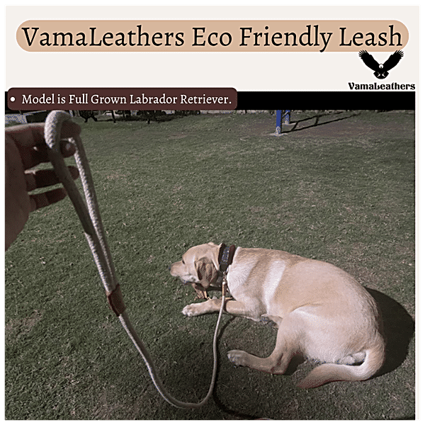 Buy Vama Leathers Cotton Leash - Long & Short Handle, For Giant & Extra  Large Dogs, Racing Red Online at Best Price of Rs 390 - bigbasket