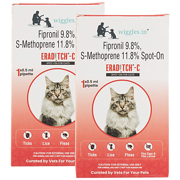 Cat fleas clearance on humans treatment