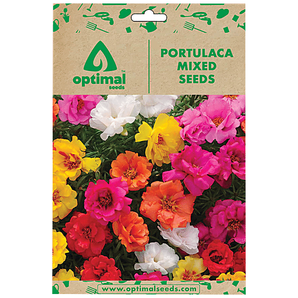 Buy Optimal Seeds Portulaca Mixed Flower Seeds Online at Best Price of