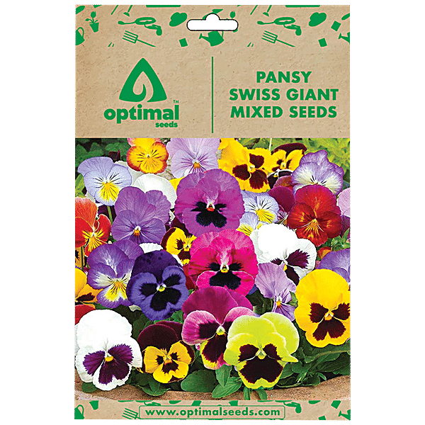 Buy Optimal Seeds Pansy Swiss Giant Mixed Flower Seeds Online at Best