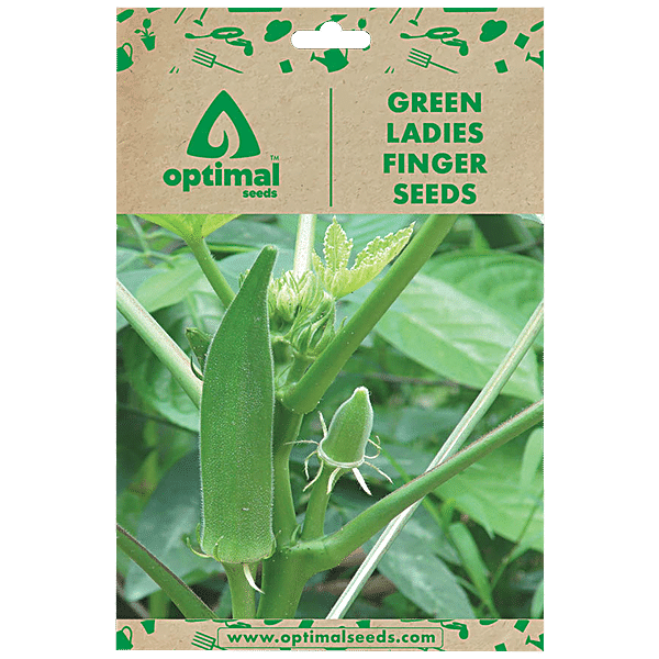 Buy Optimal Seeds Green Ladies Finger Vegetable Seeds (Green Okra