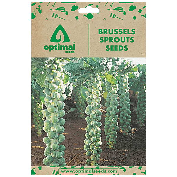 Buy Optimal Seeds Brussels Sprouts Vegetable Seeds Online at Best Price ...