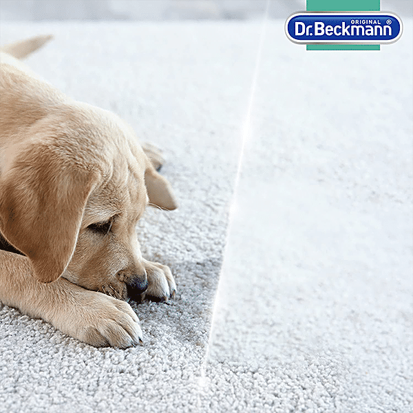 Buy Dr. Beckmann Pet Stain & Odour Remover - Eliminates Urine