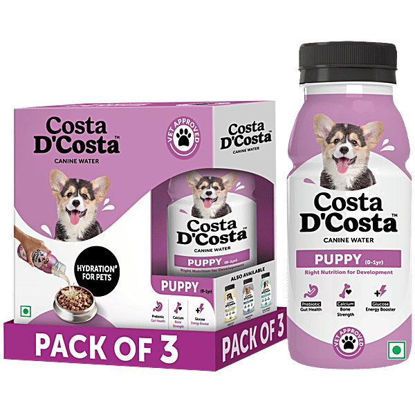 Glucose water best sale for dogs