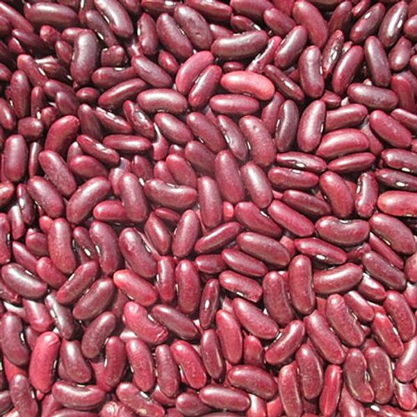 Buy Bulk Bulk Rajma Srinagar - Purple Online at Best Price of Rs null ...