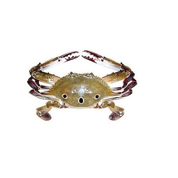 Buy Crazy Fish Crab - Mukkan Nandu / 3Spot Online at Best Price of 