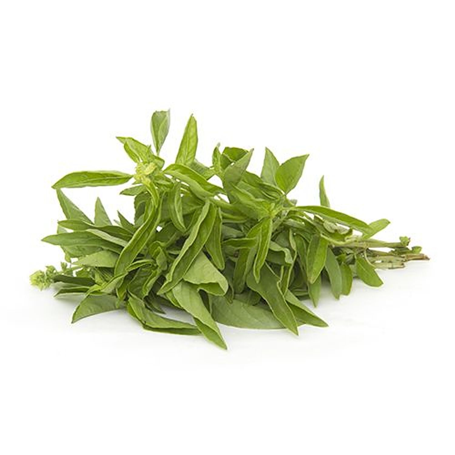 Fresho Basil Italian 1 kg