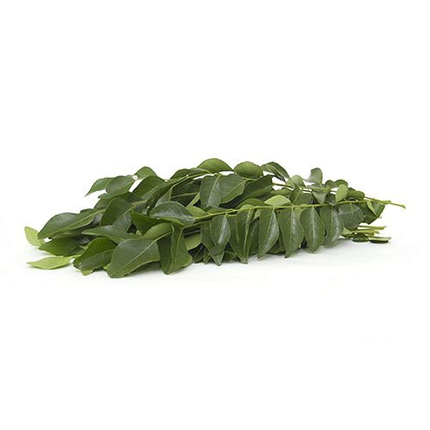 Curry leaves sale price per kg