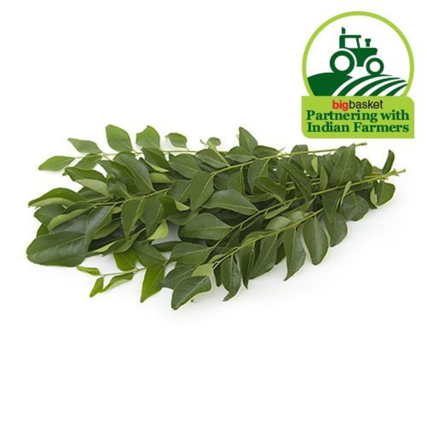 Curry leaves price per kg hot sale in usa