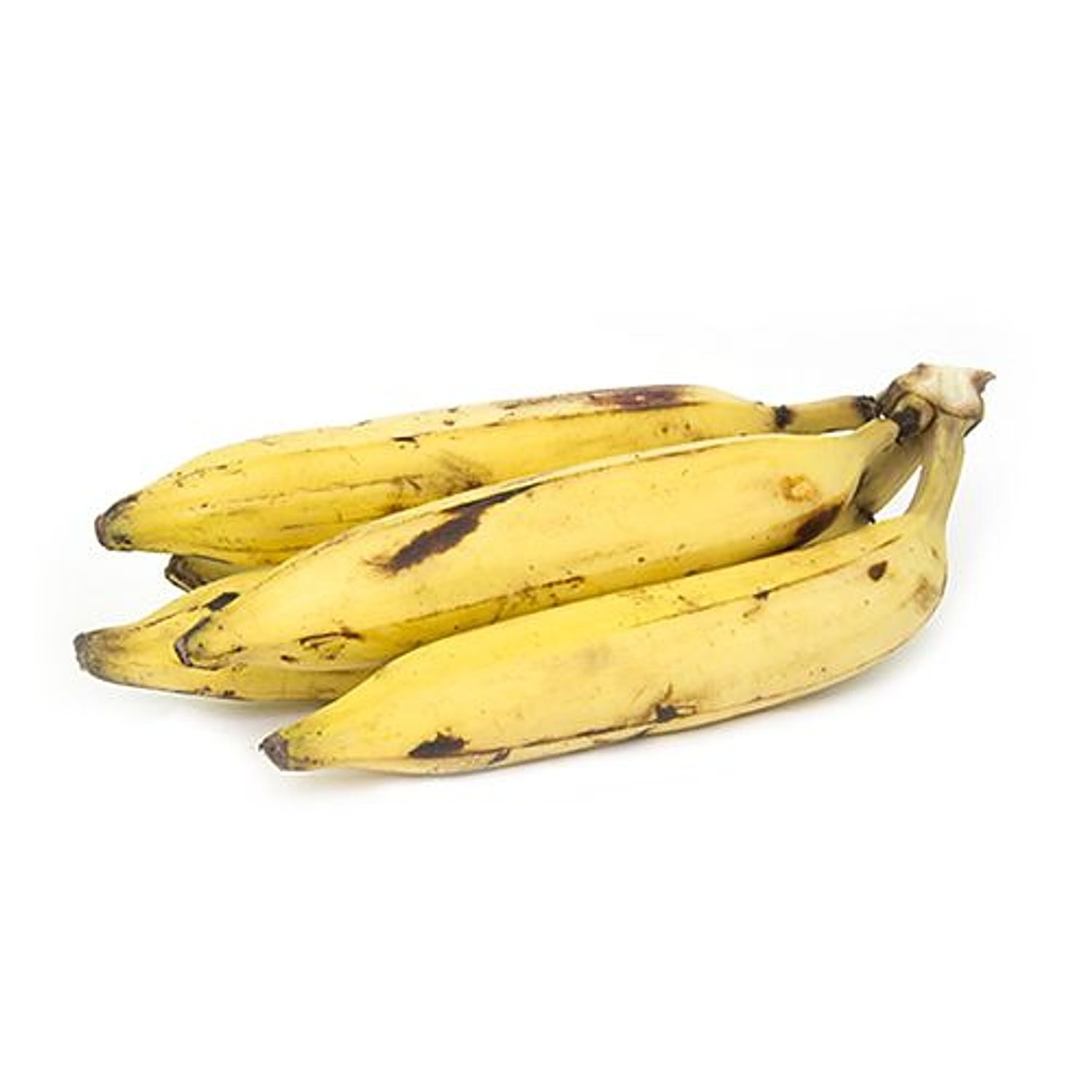 Banano artificiale SHARA, 250cm