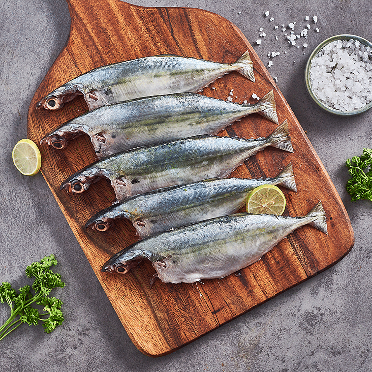 mackerel fish in bengali