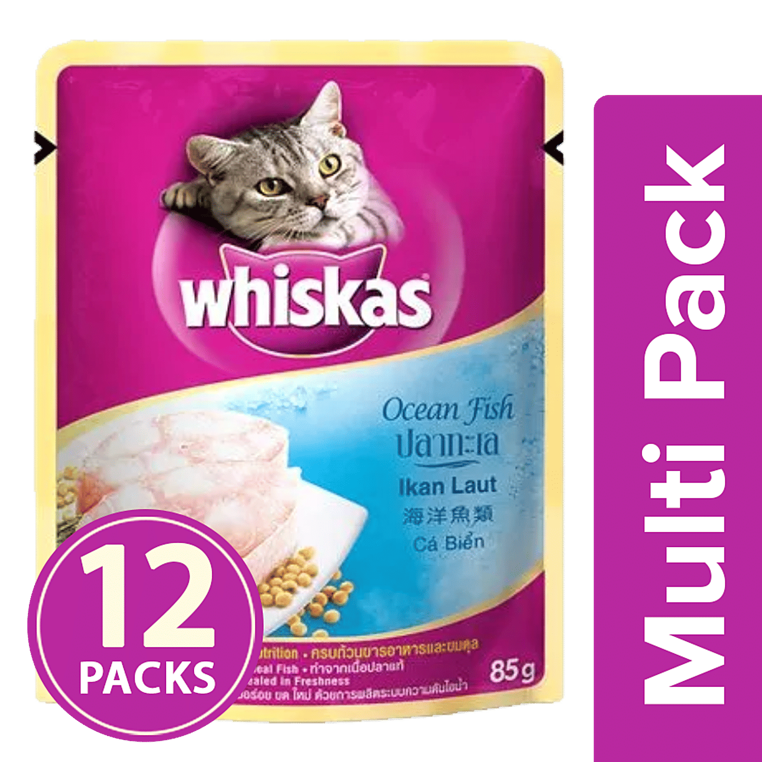 best canned cat food for older cats