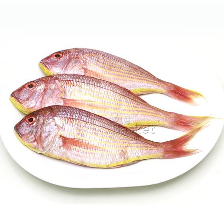 Buy Fresho Pink Perch Fish - Cleaned & Whole 500 gm Tray Online at Best  Price. of Rs 399 - bigbasket