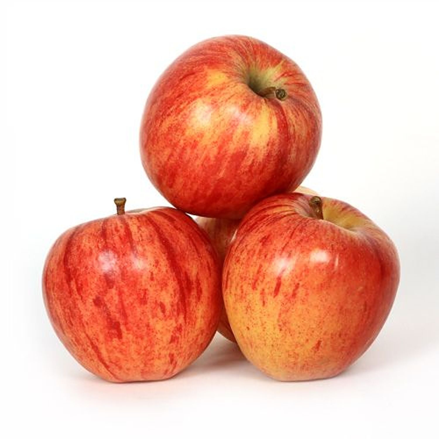 6 Pack Royal Gala Apples – Top Spot Fruit Mart