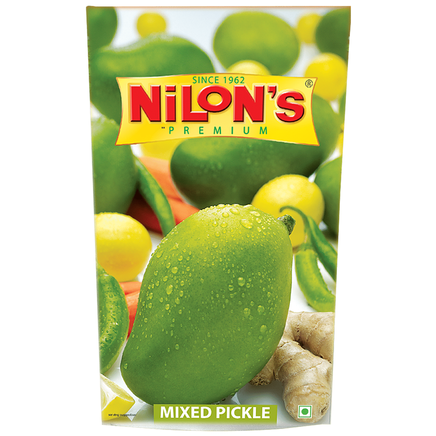 Buy Nilons Premium Ginger Garlic Paste 200 Gm Pouch Online at the Best  Price of Rs 40 - bigbasket