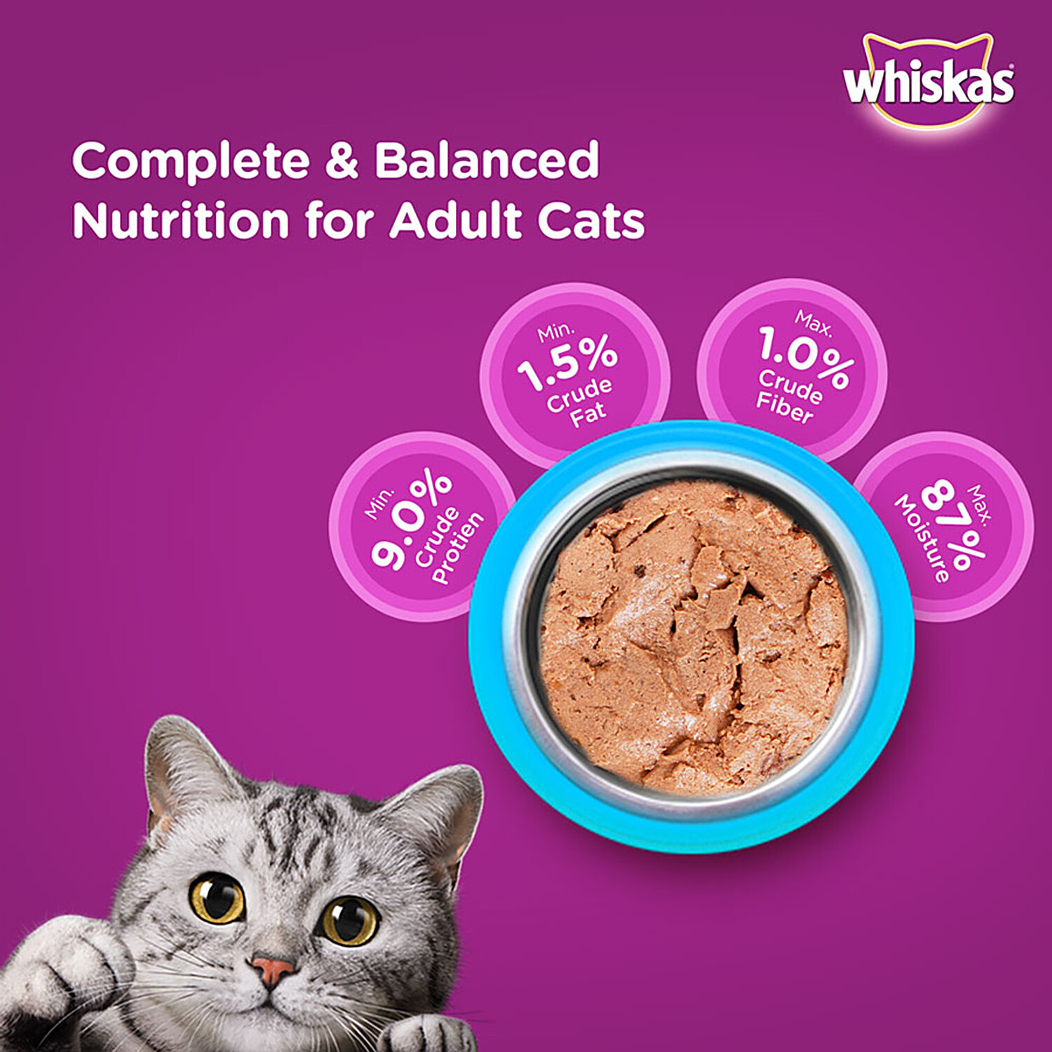 Buy Whiskas Pet Food Ocean Fish 85 Gm Online At Best Price of Rs