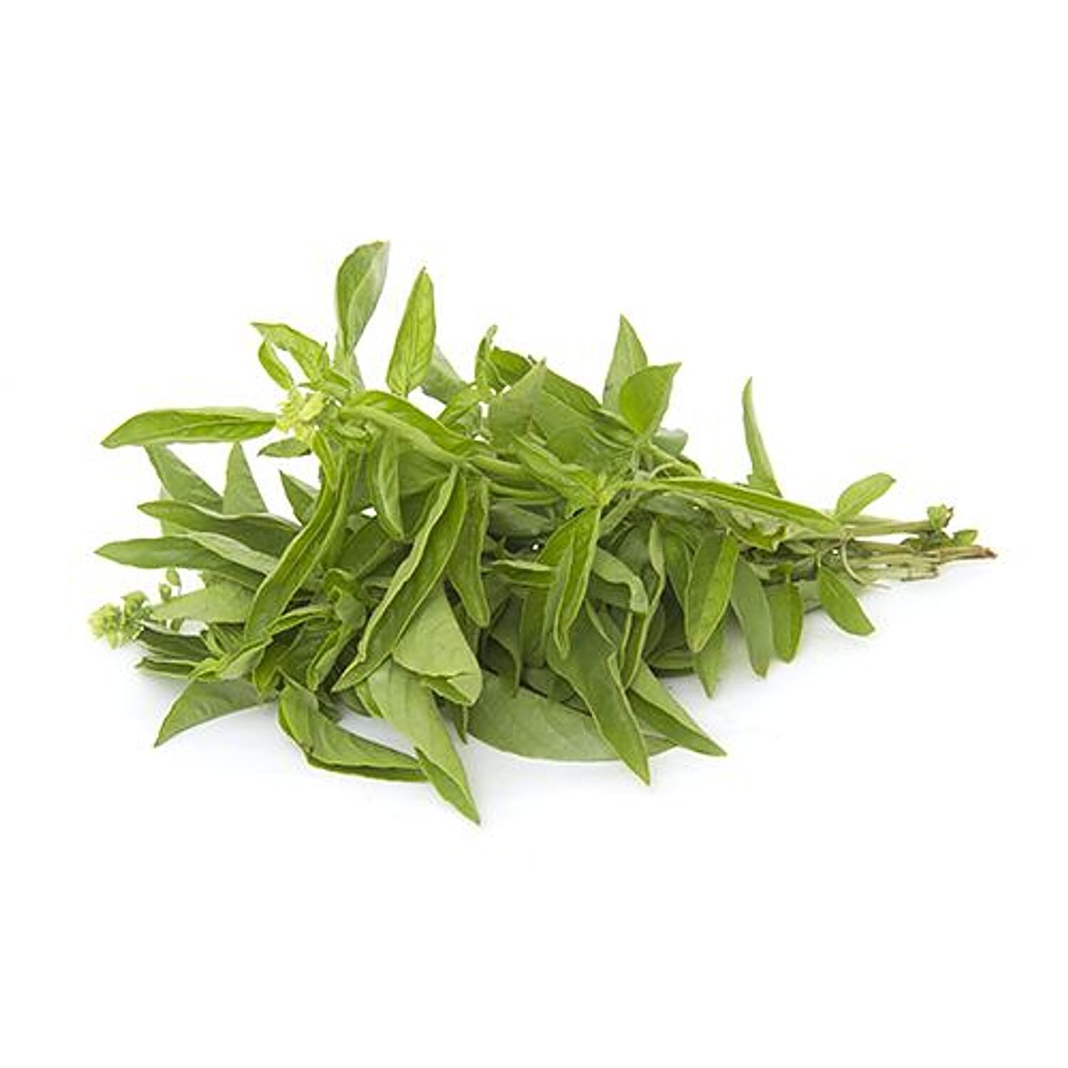 Fresho Basil Italian 1 kg