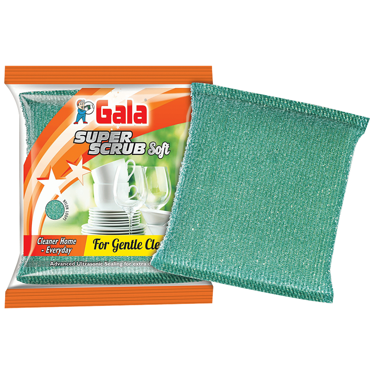 https://www.bigbasket.com/media/uploads/p/xxl/40006182_6-gala-kitchen-scrubber-green.jpg