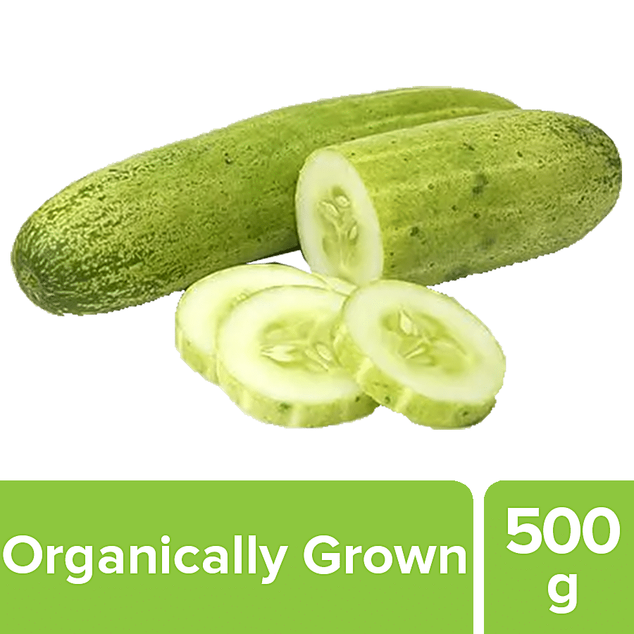 Fresh Organic English Cucumber, 500g : : Grocery & Gourmet Foods