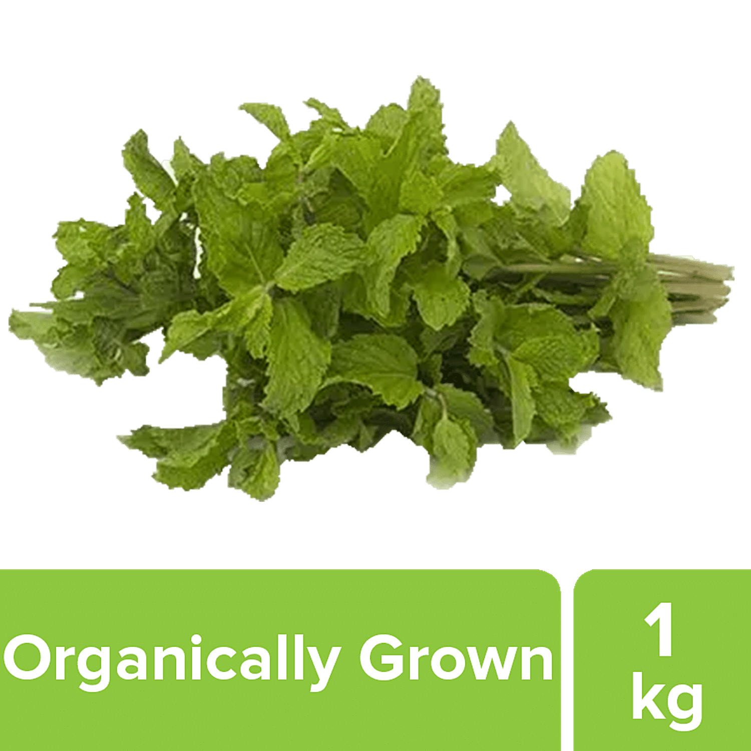 Fresh Mint Leaves, 100g : : Grocery & Gourmet Foods