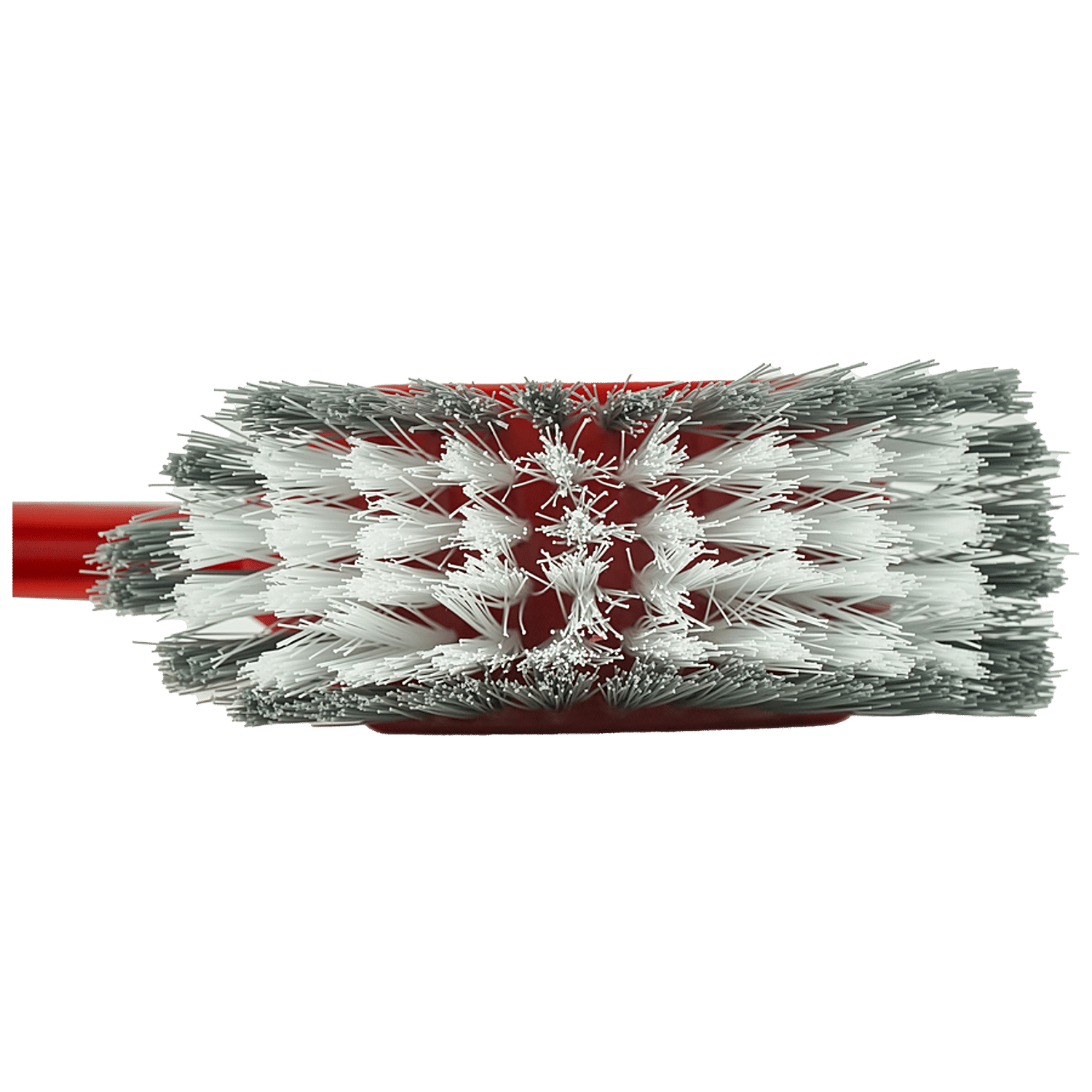 https://www.bigbasket.com/media/uploads/p/xxl/40113327-4_1-liao-toilet-brush-single-sided.jpg