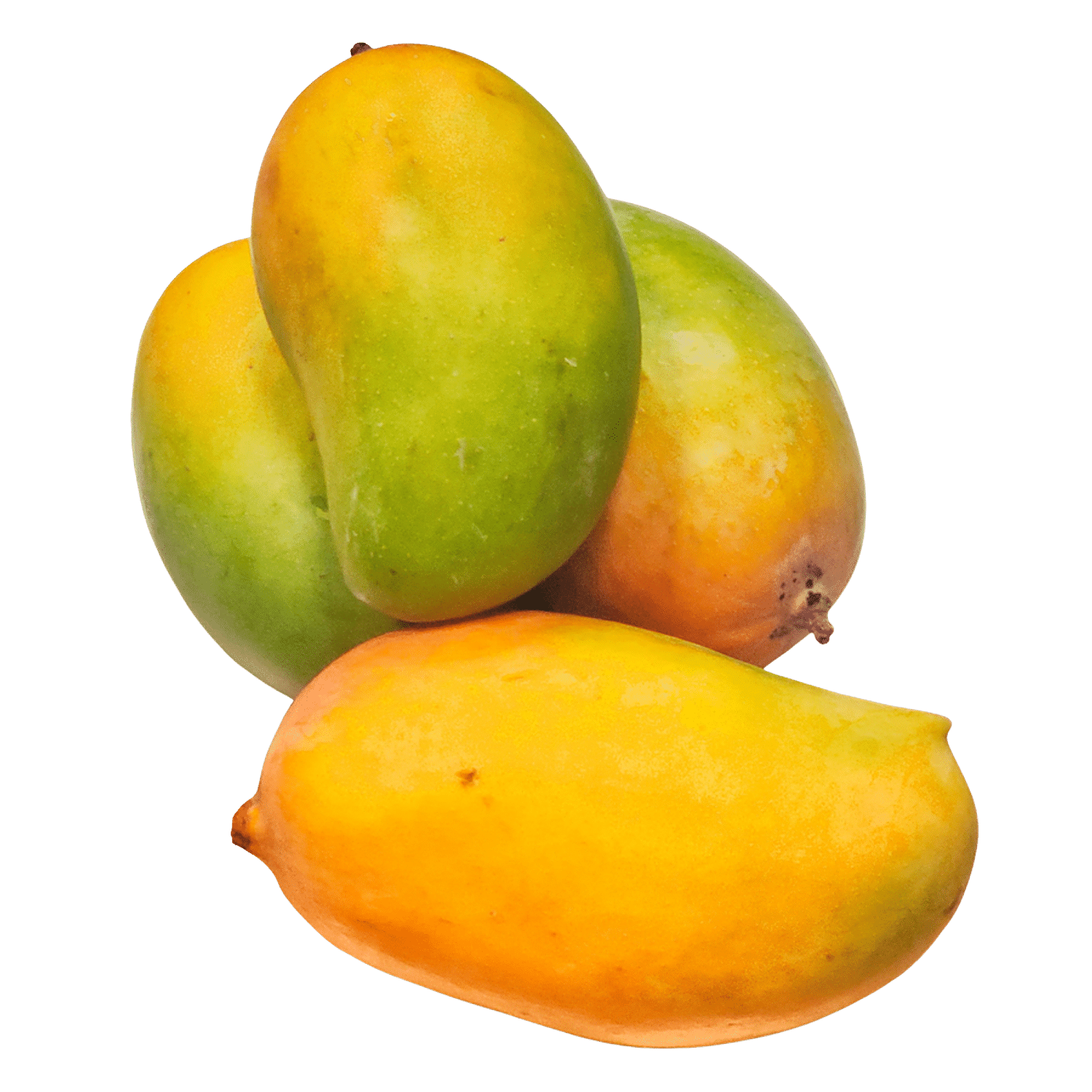 Fresh Mango Kesar, 4Kg - (approx. 180gm/pc) : : Grocery & Gourmet  Foods