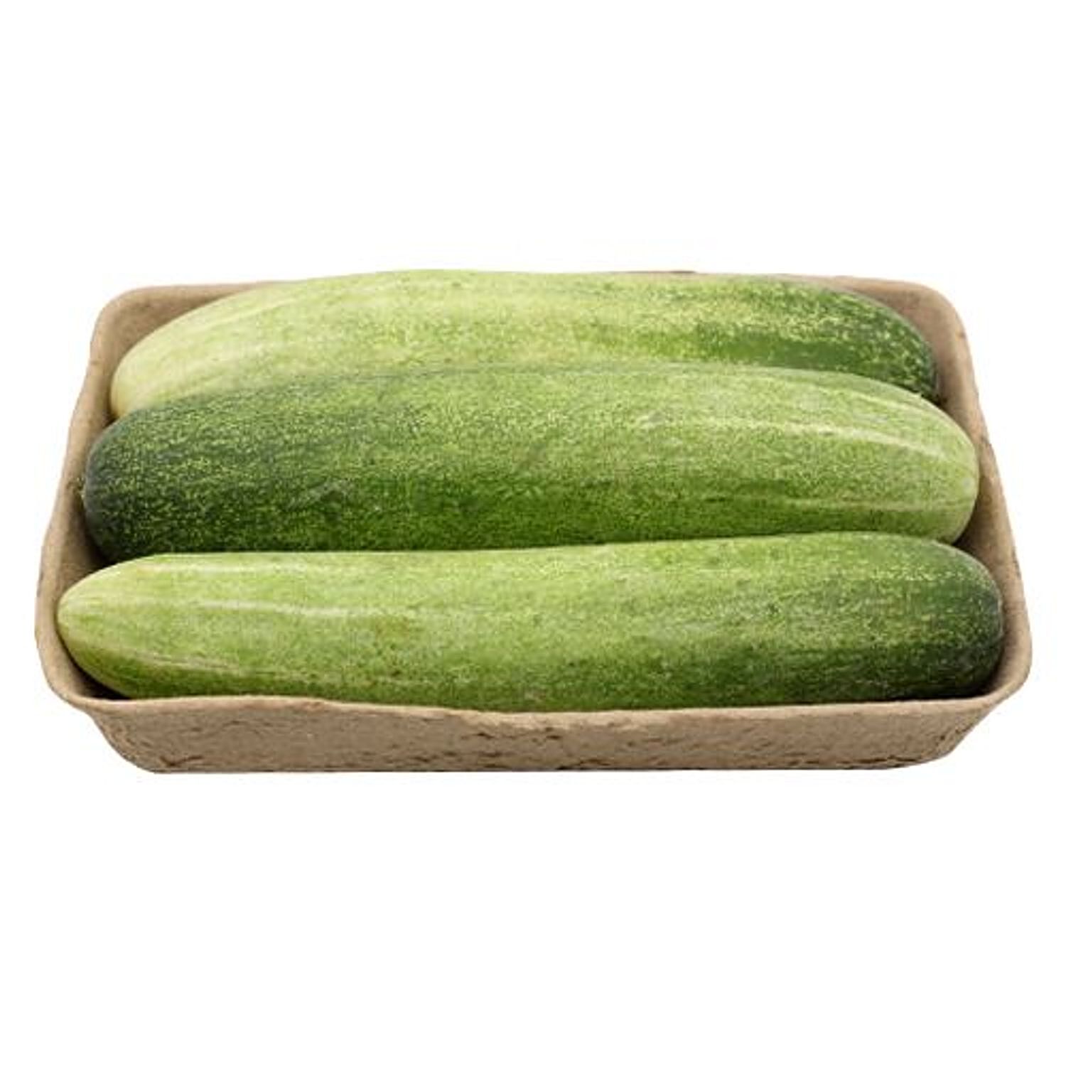 Bigbasket - Give your health the benefits of fresh cucumbers! Shop fresh  and organic cucumbers from bigbasket and give your health a boost!  #bigbasket #Cucumber #HealthyLife #HealthyFood #Organic #FreshFood  #HealthyLiving #Health