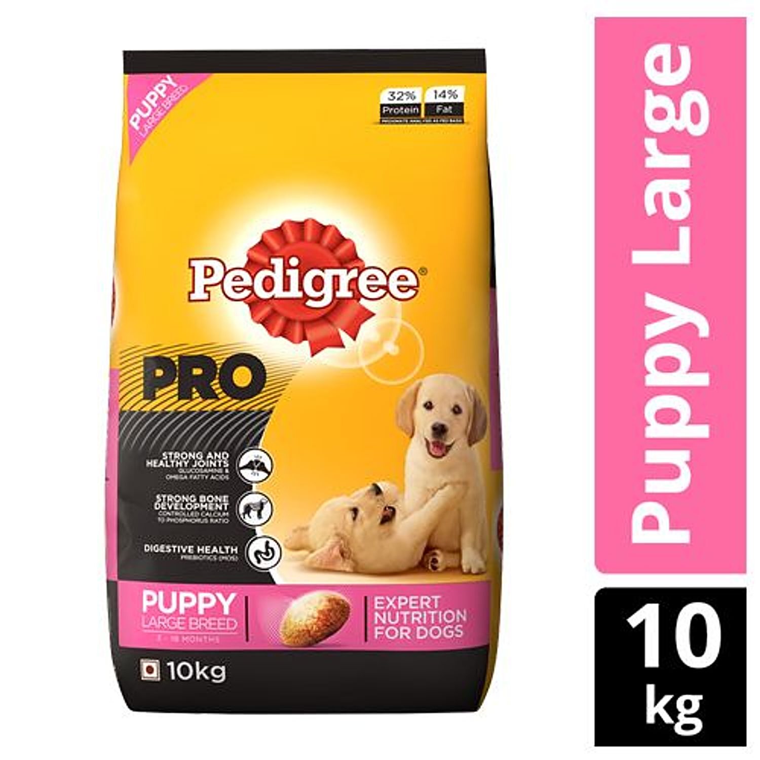 Pedigree for outlet 1 month puppy