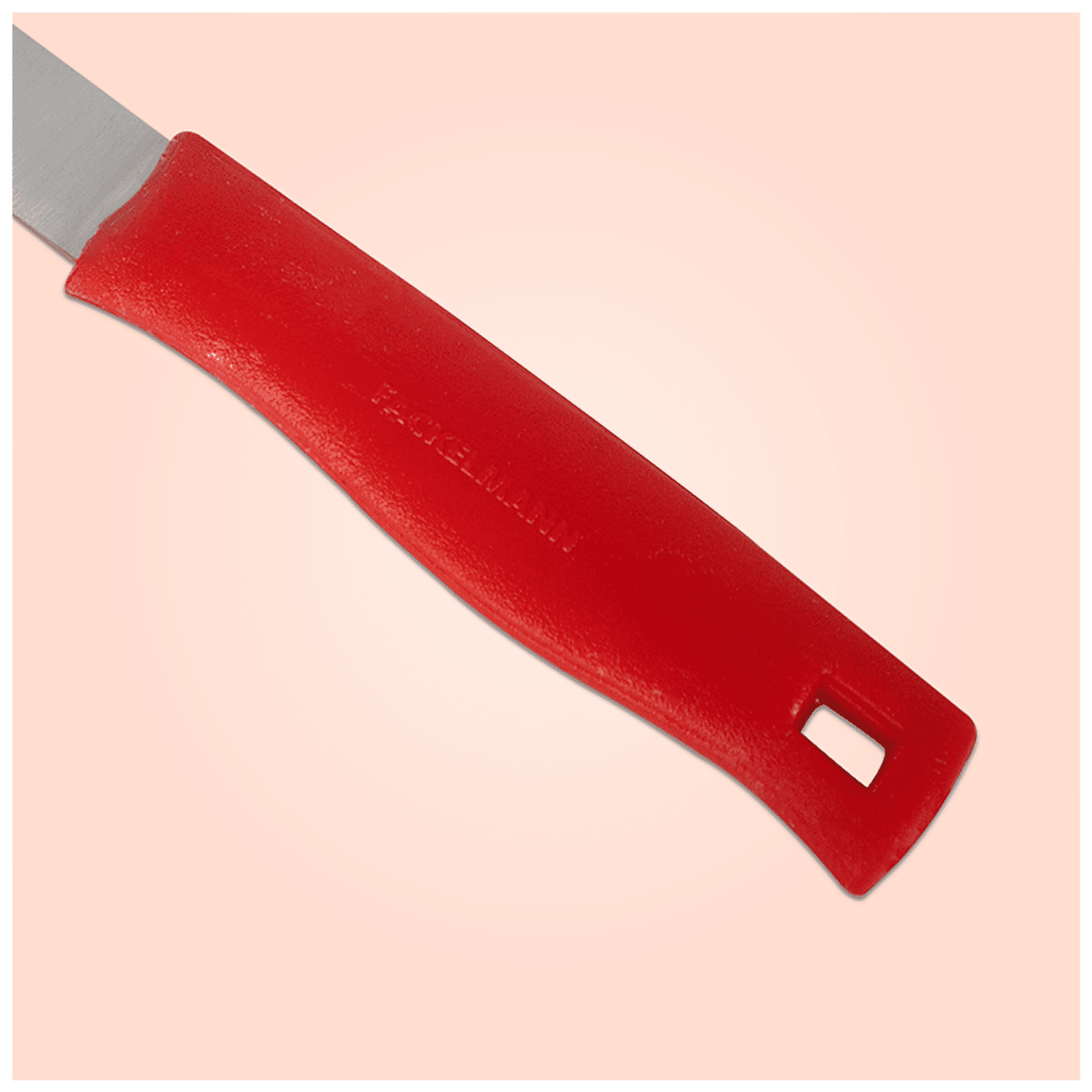 https://www.bigbasket.com/media/uploads/p/xxl/40138673-5_2-fackelmann-pvc-handle-vegetable-knife.jpg