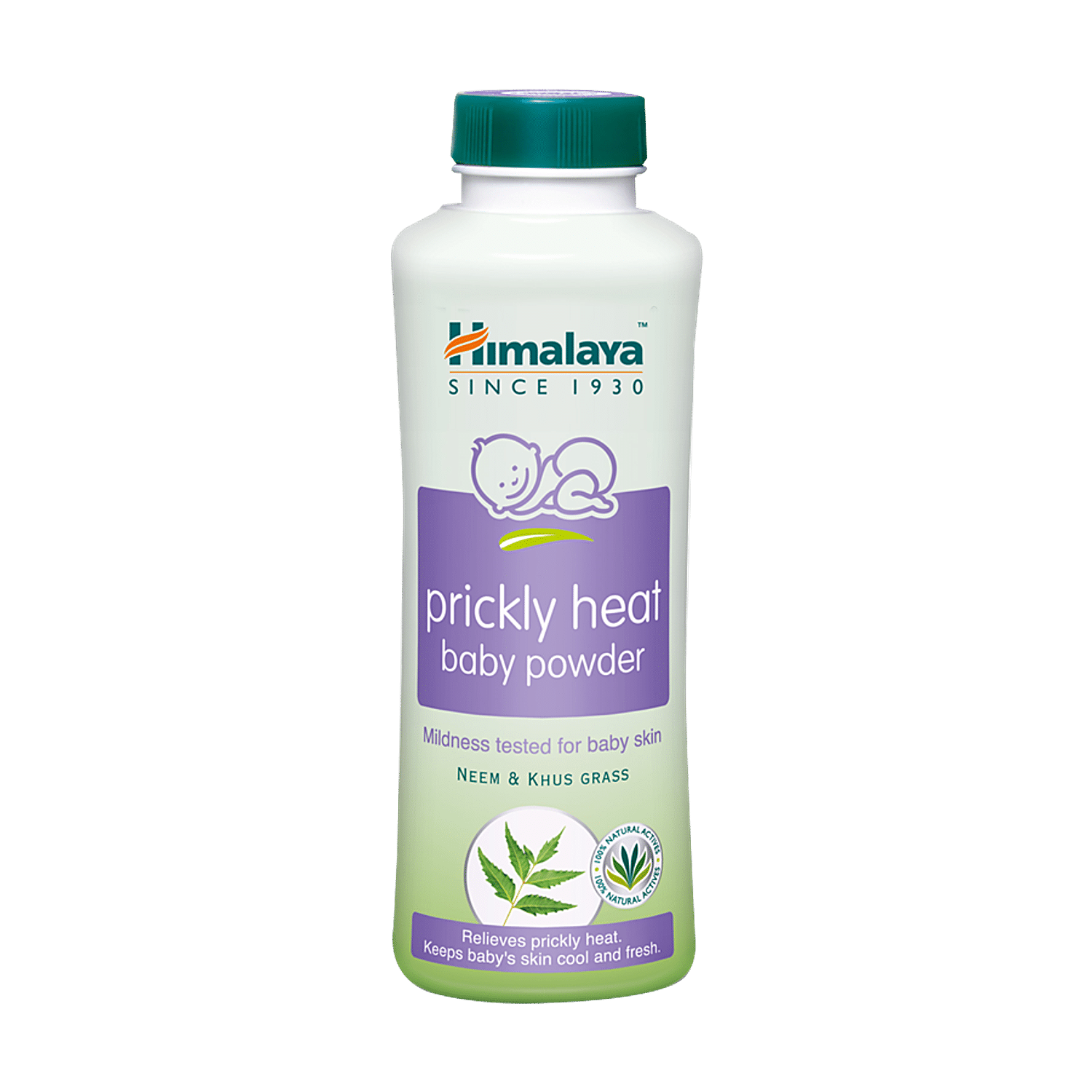 Baby himalaya cheap