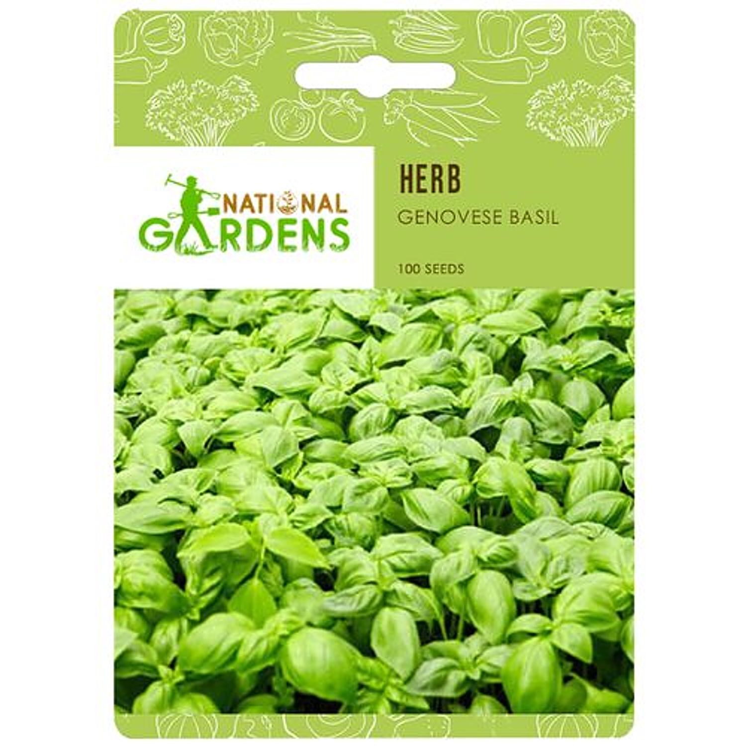 Buy National Gardens Genovese Basil Herb Seeds Online at Best