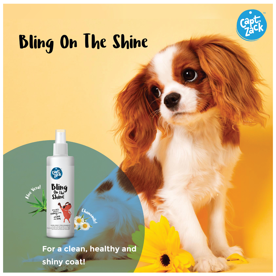 Buy Captain Zack Bling On The Shine Dry Shampoo For Dogs Online at