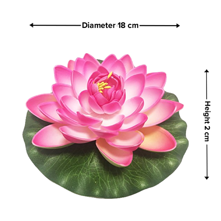 Lotus Flower Pictures For Colouring Best Flower Site   40180924 2 1 Pahal Floating Lotus Assorted 7 Inch 