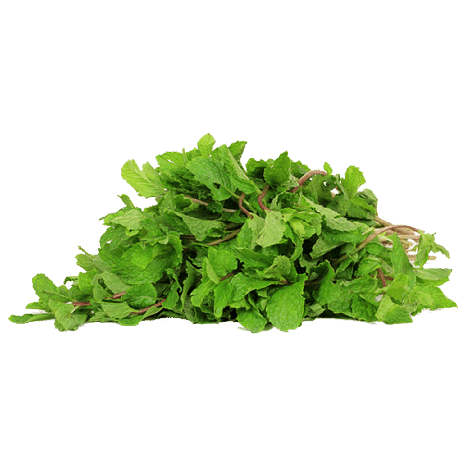 Buy Fresho Mint Leaves 100 Gm Online At Best Price of Rs 11 - bigbasket