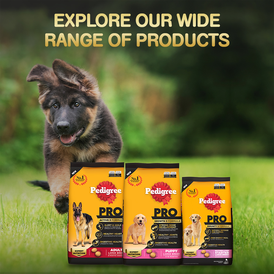 Pedigree pro hotsell puppy food