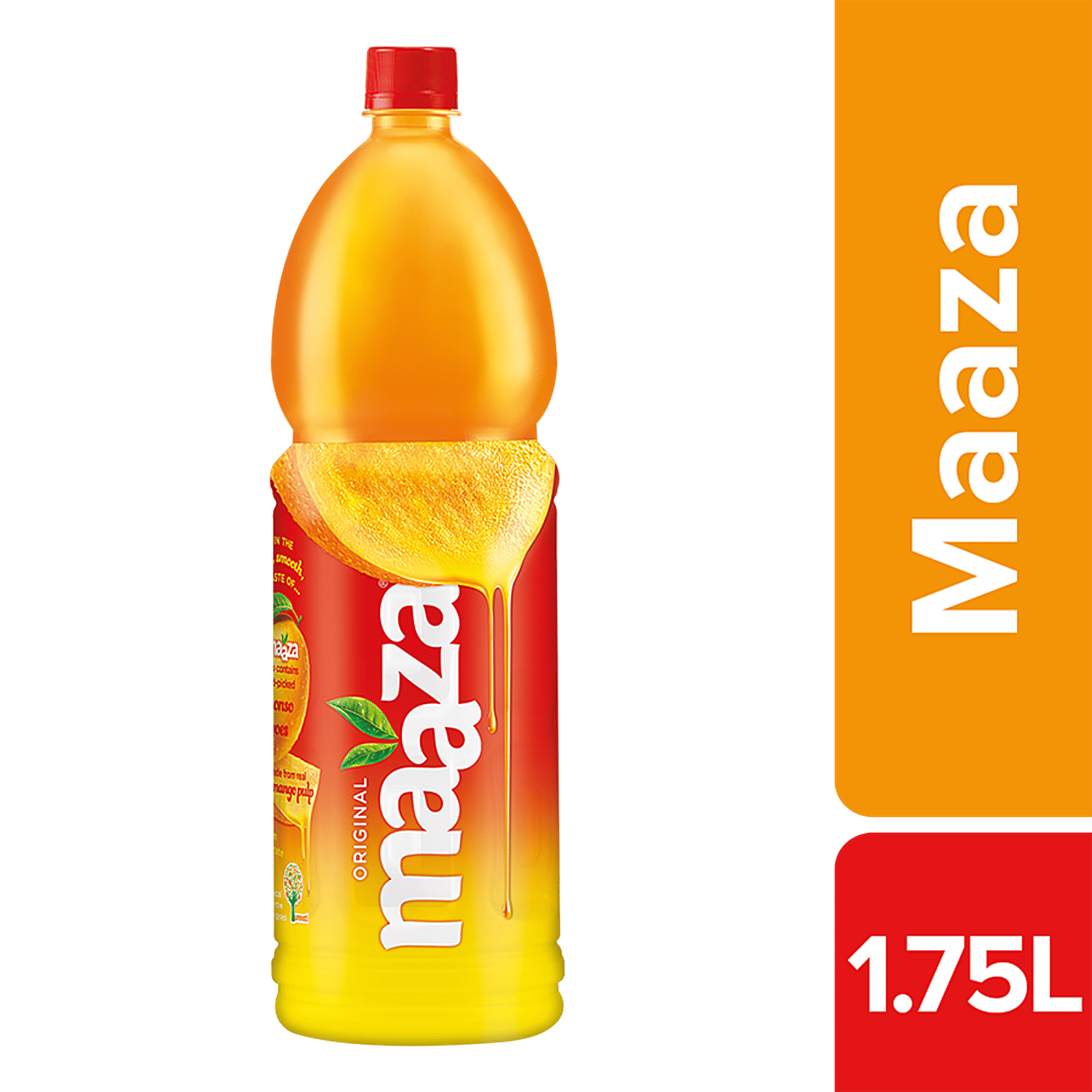 Mango maaza 2024