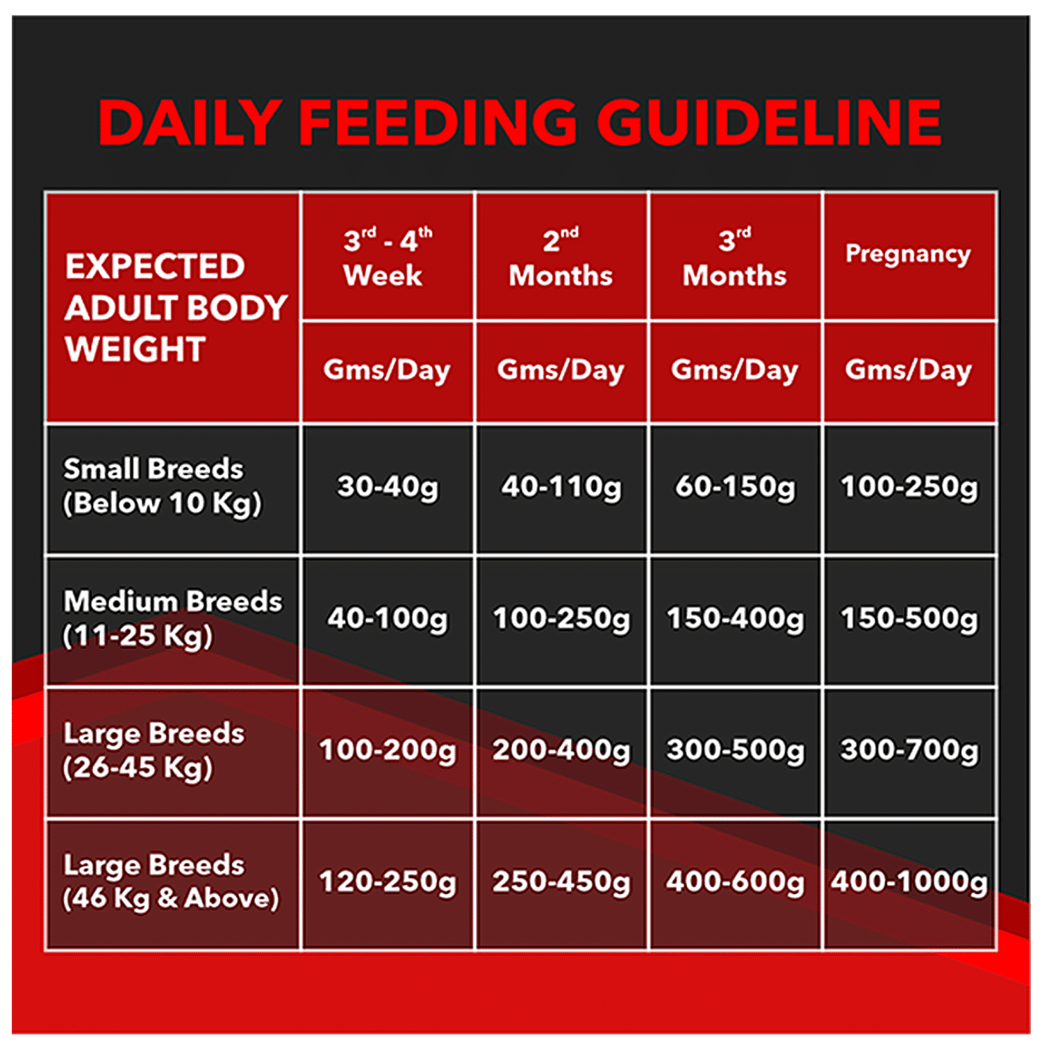 focus starter 4 kg