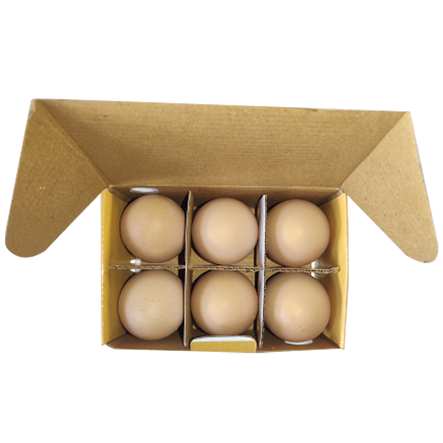 https://www.bigbasket.com/media/uploads/p/xxl/40208096_1-fresho-free-range-eggs.jpg